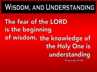 Proverbs 9:10 The Fear Of The Lord Is Wisdom (red)